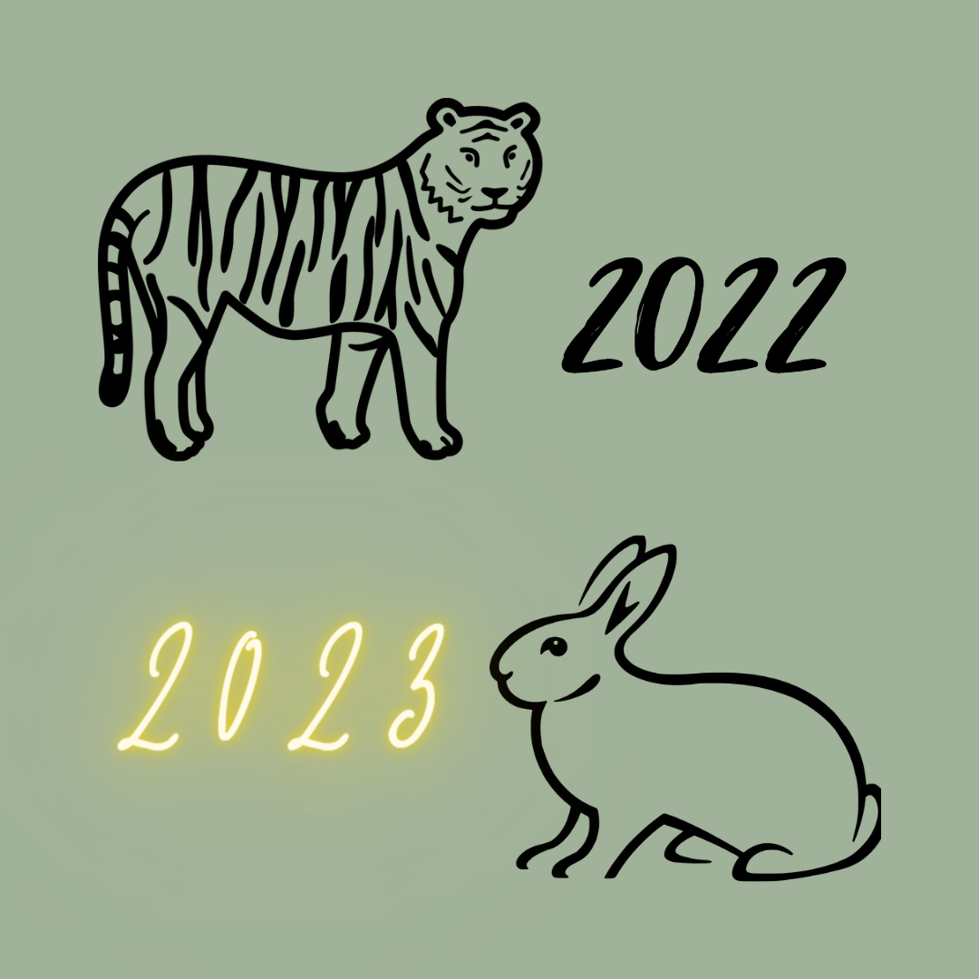 2023 год Серго Кролика • Fengshuimaster.Ru
